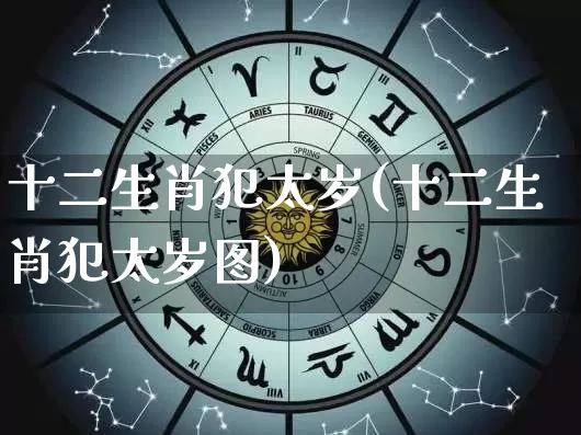 十二生肖犯太岁(十二生肖犯太岁图)_https://www.dao-sheng-yuan.com_生肖属相_第1张