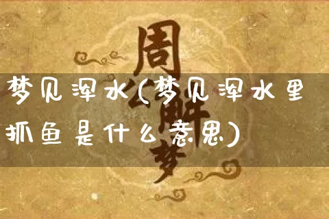 梦见浑水(梦见浑水里抓鱼是什么意思)_https://www.dao-sheng-yuan.com_十二星座_第1张