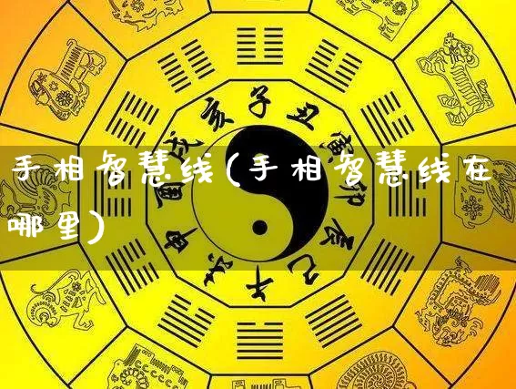 手相智慧线(手相智慧线在哪里)_https://www.dao-sheng-yuan.com_道源国学_第1张