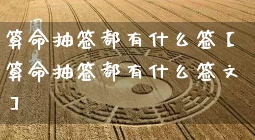 算命抽签都有什么签【算命抽签都有什么签文】_https://www.dao-sheng-yuan.com_五行_第1张