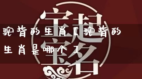 驼背的生肖【驼背的生肖是哪个】_https://www.dao-sheng-yuan.com_周公解梦_第1张