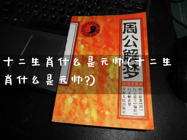 十二生肖什么是元帅(十二生肖什么是元帅?)_https://www.dao-sheng-yuan.com_生肖属相_第1张