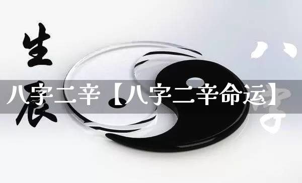 八字二辛【八字二辛命运】_https://www.dao-sheng-yuan.com_易经_第1张
