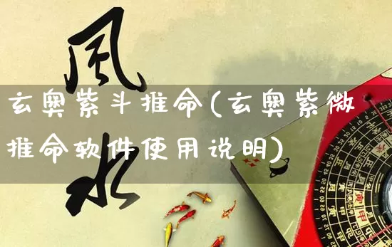 玄奥紫斗推命(玄奥紫微推命软件使用说明)_https://www.dao-sheng-yuan.com_易经_第1张