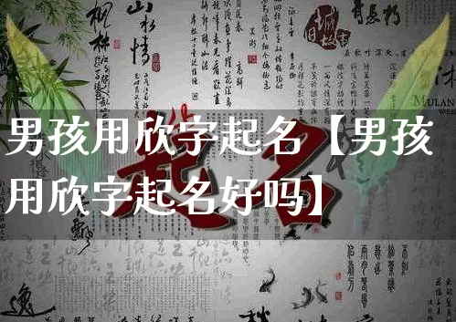 男孩用欣字起名【男孩用欣字起名好吗】_https://www.dao-sheng-yuan.com_生肖属相_第1张