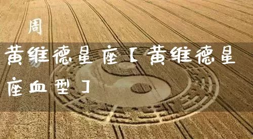 黄维德星座【黄维德星座血型】_https://www.dao-sheng-yuan.com_五行_第1张