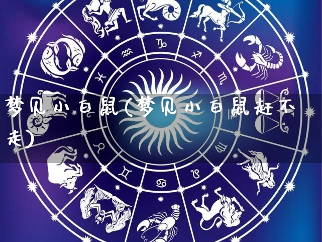 梦见小白鼠(梦见小白鼠赶不走)_https://www.dao-sheng-yuan.com_道源国学_第1张