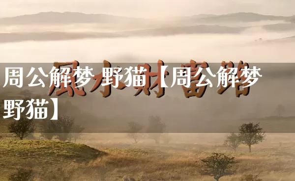 周公解梦 野猫【周公解梦野猫】_周公解梦_第1张_道圣缘 周公解梦 野猫【周公解梦野猫】_https://www.dao-sheng-yuan.com_周公解梦_第1张