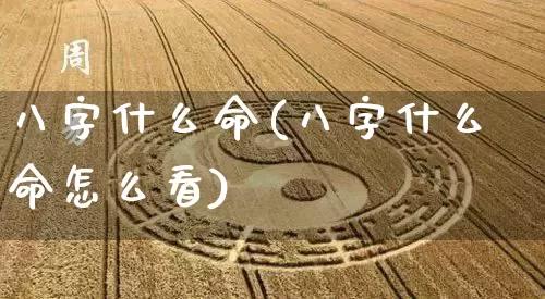 八字什么命(八字什么命怎么看)_https://www.dao-sheng-yuan.com_八字_第1张