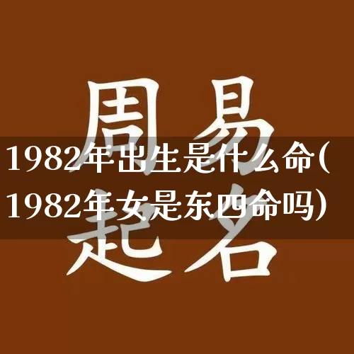 1982年出生是什么命(1982年女是东四命吗)_https://www.dao-sheng-yuan.com_算命_第1张