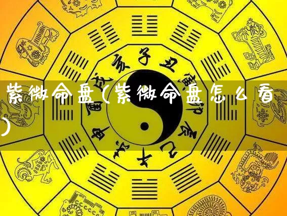 紫微命盘(紫微命盘怎么看)_https://www.dao-sheng-yuan.com_八字_第1张