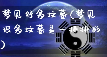 梦见好多坟墓(梦见很多坟墓是一排排的)_https://www.dao-sheng-yuan.com_八字_第1张