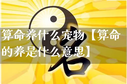 算命养什么宠物【算命的养是什么意思】_https://www.dao-sheng-yuan.com_周公解梦_第1张