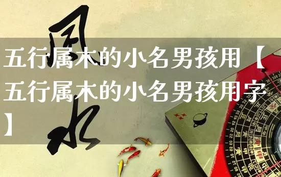 五行属木的小名男孩用【五行属木的小名男孩用字】_https://www.dao-sheng-yuan.com_五行_第1张