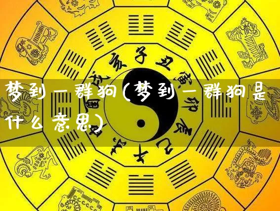 梦到一群狗(梦到一群狗是什么意思)_https://www.dao-sheng-yuan.com_道源国学_第1张