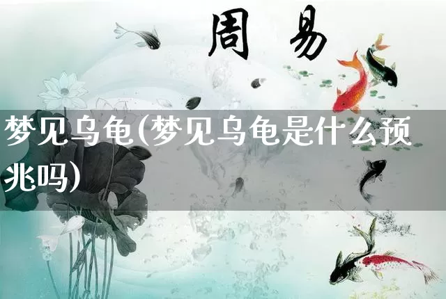 梦见乌龟(梦见乌龟是什么预兆吗)_https://www.dao-sheng-yuan.com_八字_第1张