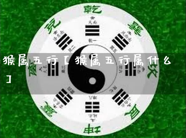 猴属五行【猴属五行属什么】_https://www.dao-sheng-yuan.com_起名_第1张