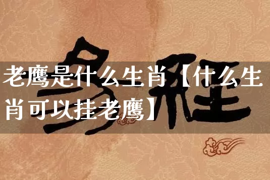 老鹰是什么生肖【什么生肖可以挂老鹰】_https://www.dao-sheng-yuan.com_风水_第1张