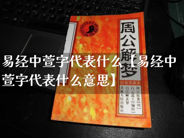 易经中萱字代表什么【易经中萱字代表什么意思】_https://www.dao-sheng-yuan.com_起名_第1张