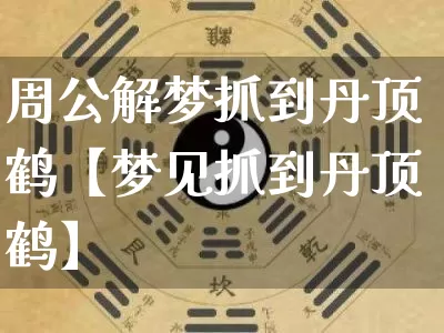 周公解梦抓到丹顶鹤【梦见抓到丹顶鹤】_https://www.dao-sheng-yuan.com_八字_第1张