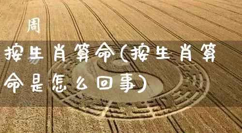 按生肖算命(按生肖算命是怎么回事)_算命_第1张_道圣缘 按生肖算命(按生肖算命是怎么回事)_https://www.dao-sheng-yuan.com_算命_第1张