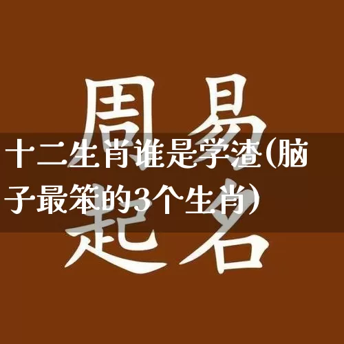 十二生肖谁是学渣(脑子最笨的3个生肖)_https://www.dao-sheng-yuan.com_周公解梦_第1张