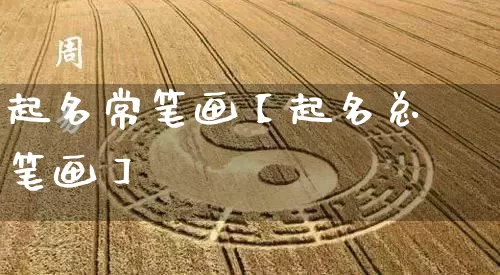 起名常笔画【起名总笔画】_https://www.dao-sheng-yuan.com_起名_第1张