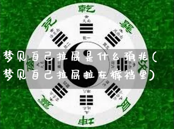 梦见自己拉屎是什么预兆(梦见自己拉屎拉在裤裆里)_https://www.dao-sheng-yuan.com_道源国学_第1张