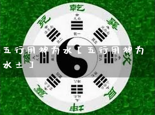 五行用神为水【五行用神为水土】_https://www.dao-sheng-yuan.com_起名_第1张