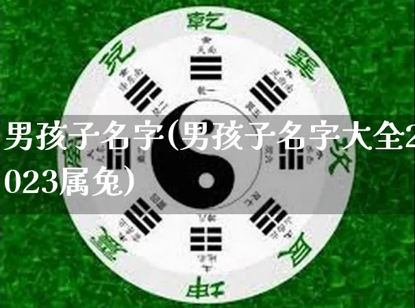 男孩子名字(男孩子名字大全2023属兔)_https://www.dao-sheng-yuan.com_起名_第1张