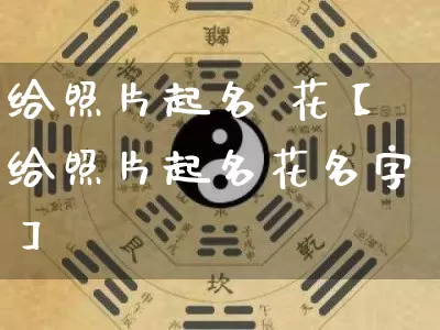 给照片起名 花【给照片起名花名字】_https://www.dao-sheng-yuan.com_易经_第1张