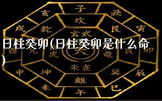 日柱癸卯(日柱癸卯是什么命)_https://www.dao-sheng-yuan.com_道源国学_第1张