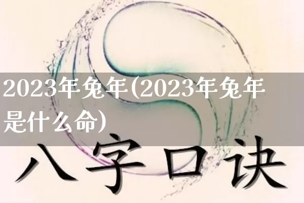 2023年兔年(2023年兔年是什么命)_https://www.dao-sheng-yuan.com_八字_第1张