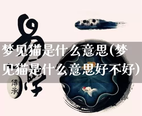 梦见猫是什么意思(梦见猫是什么意思好不好)_https://www.dao-sheng-yuan.com_道源国学_第1张