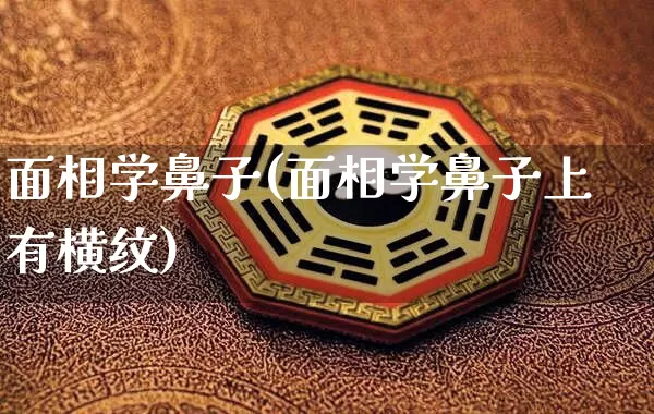 面相学鼻子(面相学鼻子上有横纹)_https://www.dao-sheng-yuan.com_五行_第1张