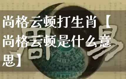 尚格云顿打生肖【尚格云顿是什么意思】_https://www.dao-sheng-yuan.com_八字_第1张