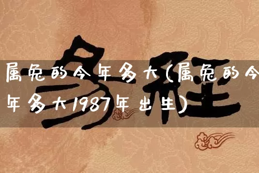 属兔的今年多大(属兔的今年多大1987年出生)_https://www.dao-sheng-yuan.com_五行_第1张