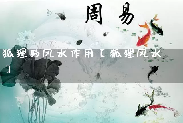 狐狸的风水作用【狐狸风水】_风水_第1张_道圣缘 狐狸的风水作用【狐狸风水】_https://www.dao-sheng-yuan.com_风水_第1张