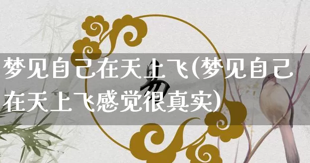梦见自己在天上飞(梦见自己在天上飞感觉很真实)_https://www.dao-sheng-yuan.com_算命_第1张