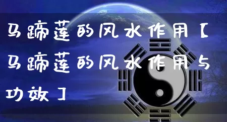 马蹄莲的风水作用【马蹄莲的风水作用与功效】_https://www.dao-sheng-yuan.com_道源国学_第1张