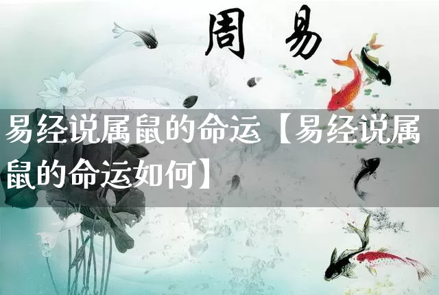 易经说属鼠的命运【易经说属鼠的命运如何】_https://www.dao-sheng-yuan.com_易经_第1张