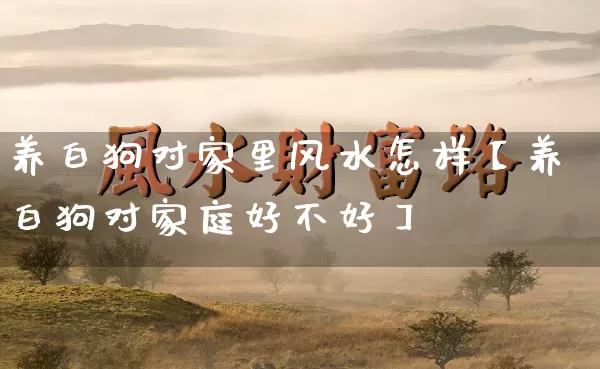 养白狗对家里风水怎样【养白狗对家庭好不好】_https://www.dao-sheng-yuan.com_五行_第1张