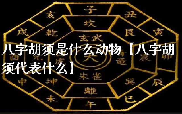 八字胡须是什么动物【八字胡须代表什么】_https://www.dao-sheng-yuan.com_八字_第1张
