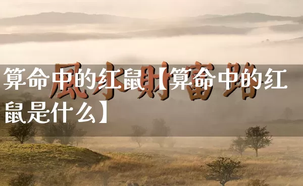 算命中的红鼠【算命中的红鼠是什么】_https://www.dao-sheng-yuan.com_算命_第1张