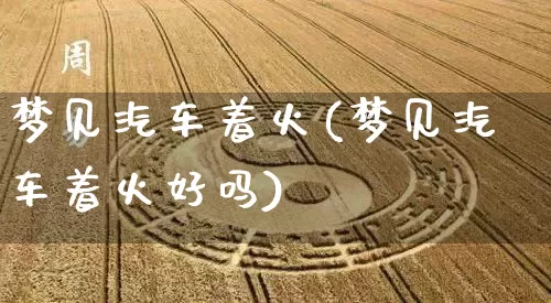 梦见汽车着火(梦见汽车着火好吗)_道源国学_第1张_道圣缘 梦见汽车着火(梦见汽车着火好吗)_https://www.dao-sheng-yuan.com_道源国学_第1张