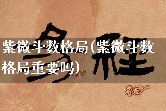紫微斗数格局(紫微斗数格局重要吗)_https://www.dao-sheng-yuan.com_周公解梦_第1张