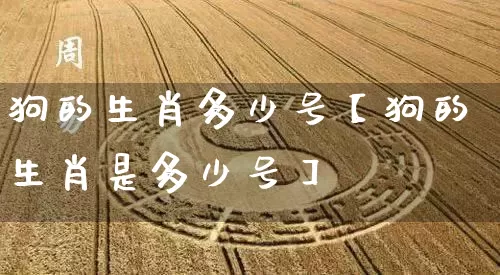 狗的生肖多少号【狗的生肖是多少号】_https://www.dao-sheng-yuan.com_风水_第1张