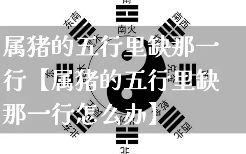 属猪的五行里缺那一行【属猪的五行里缺那一行怎么办】_https://www.dao-sheng-yuan.com_道源国学_第1张