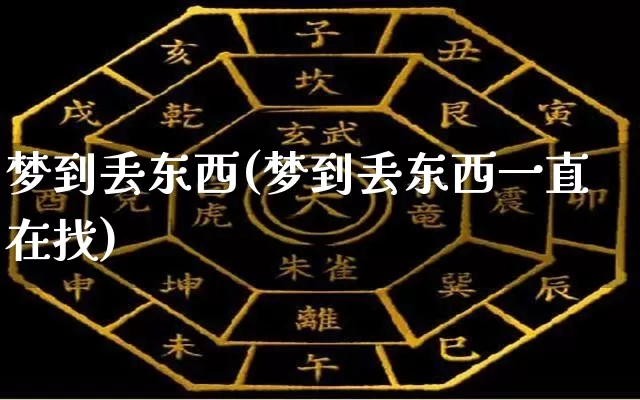 梦到丢东西(梦到丢东西一直在找)_https://www.dao-sheng-yuan.com_五行_第1张