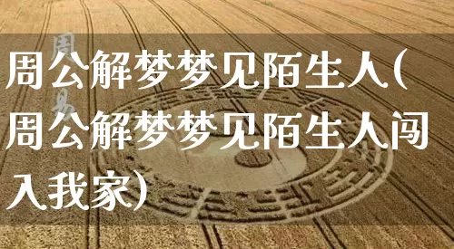 周公解梦梦见陌生人(周公解梦梦见陌生人闯入我家)_https://www.dao-sheng-yuan.com_周公解梦_第1张